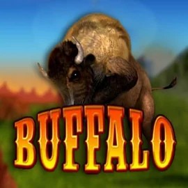 Play Buffalo Bingo slot by MGA Games on rrobocat.gr