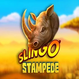 Play the Slingo Stampede slot by Slingo on Robocat Casino